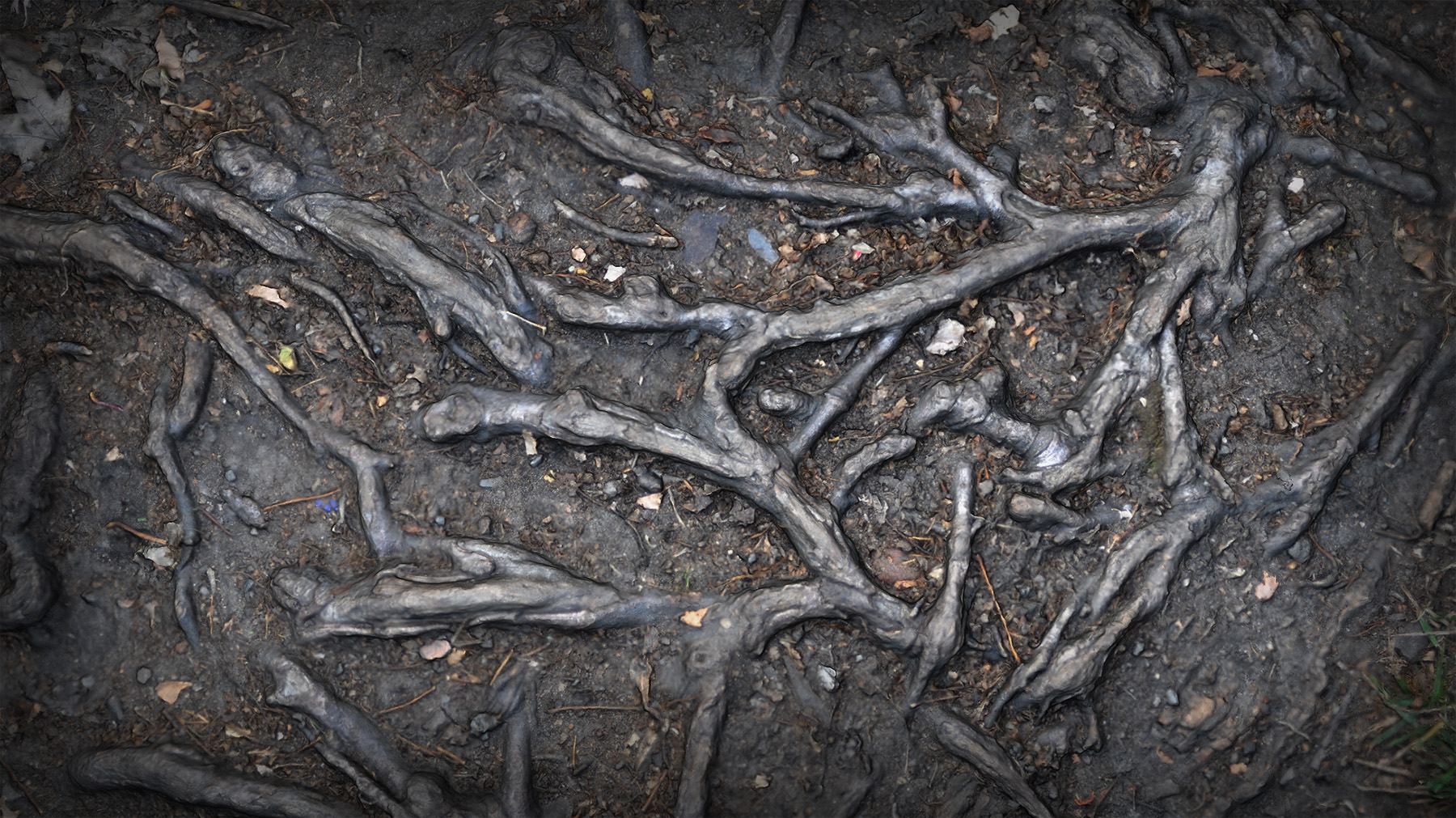 roots_and_gravels_asset_04