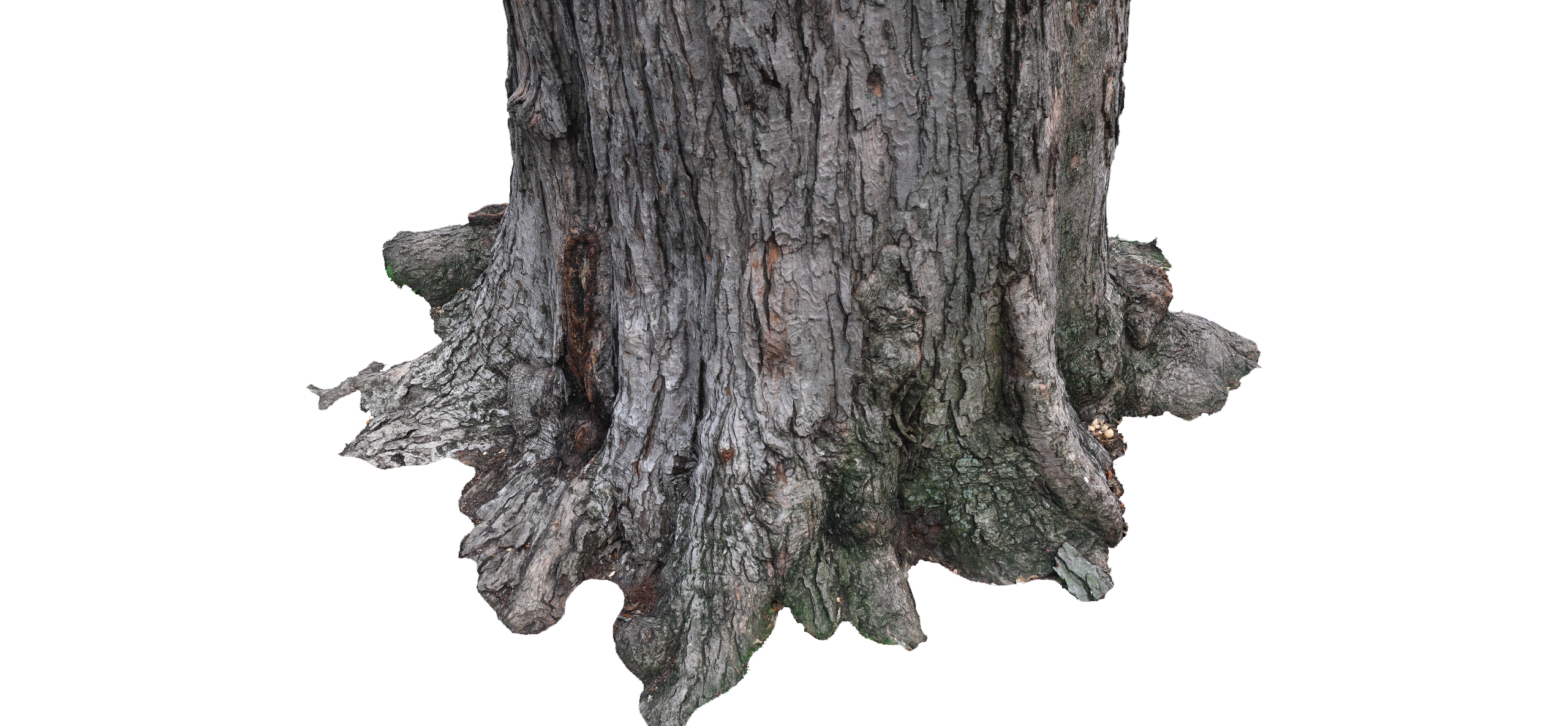 phtgrmtr_lafontaine_tree_g2